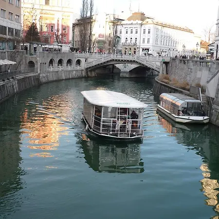 Bright & Light Daire