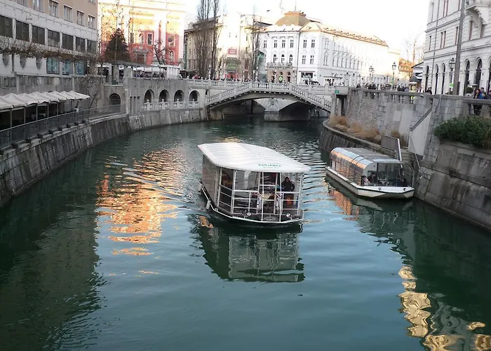 Bright & Light アパート