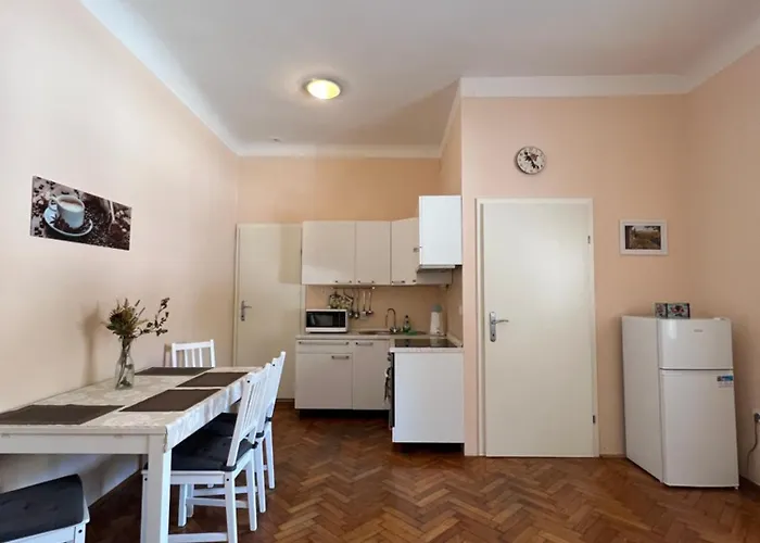 Bright & Light アパート リュブリャナ